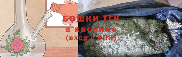 трава Наволоки