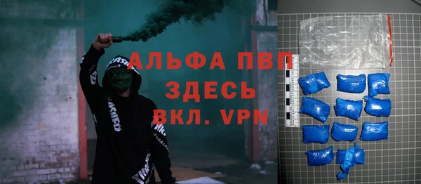 молекула духа Надым