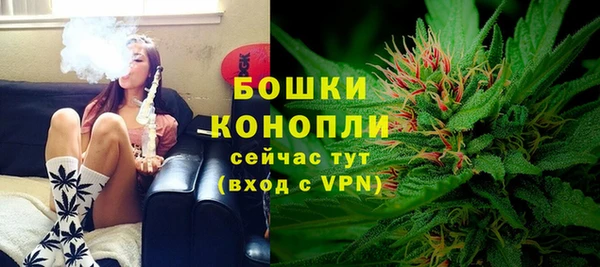 трава Наволоки