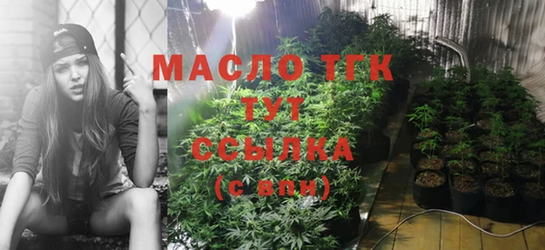 трава Наволоки